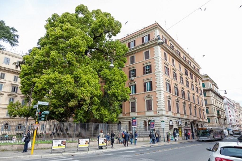 Amoroma Suite Εξωτερικό φωτογραφία